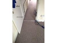 Budget Carpet Cleaning   Manchester 360492 Image 3